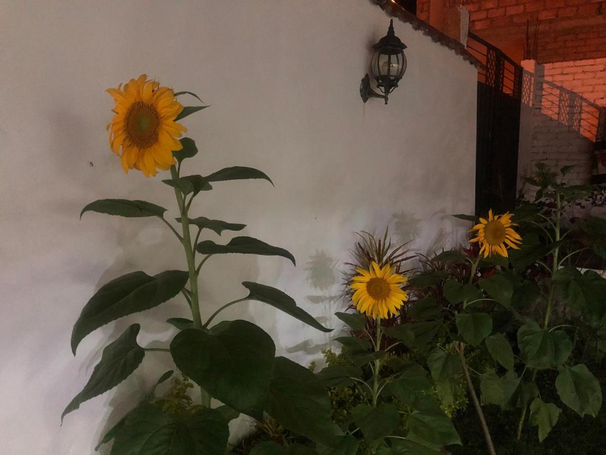 Hostel Las Palmas Vilcabamba Bagian luar foto