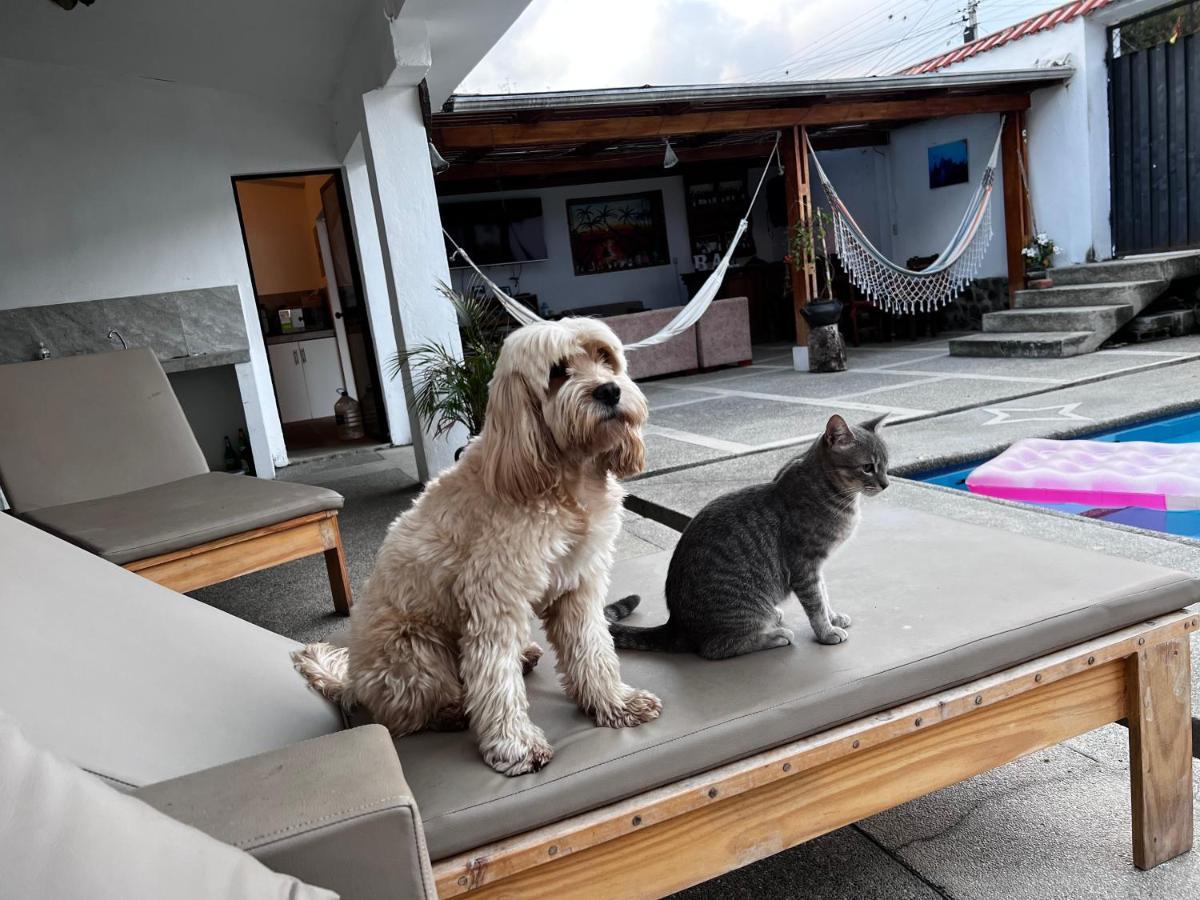 Hostel Las Palmas Vilcabamba Bagian luar foto