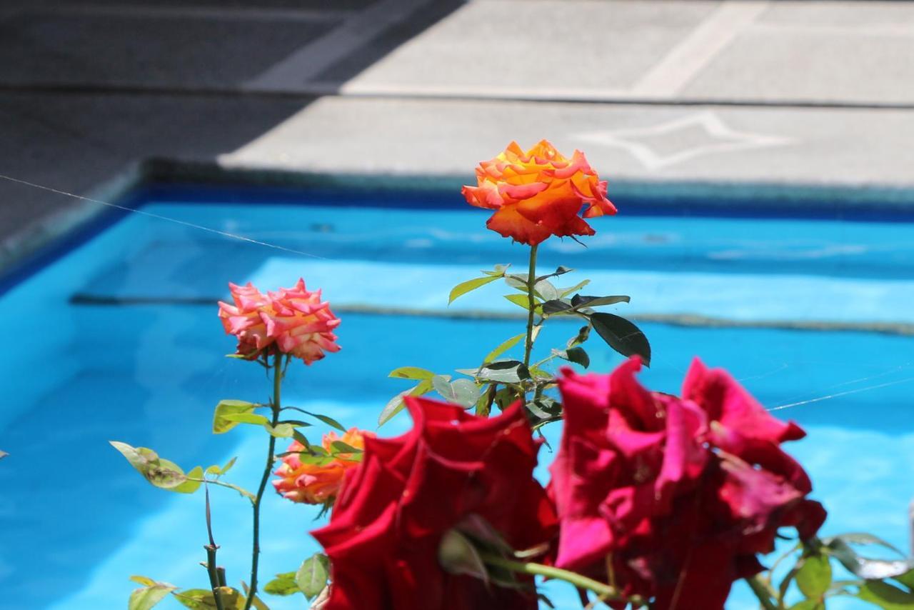 Hostel Las Palmas Vilcabamba Bagian luar foto